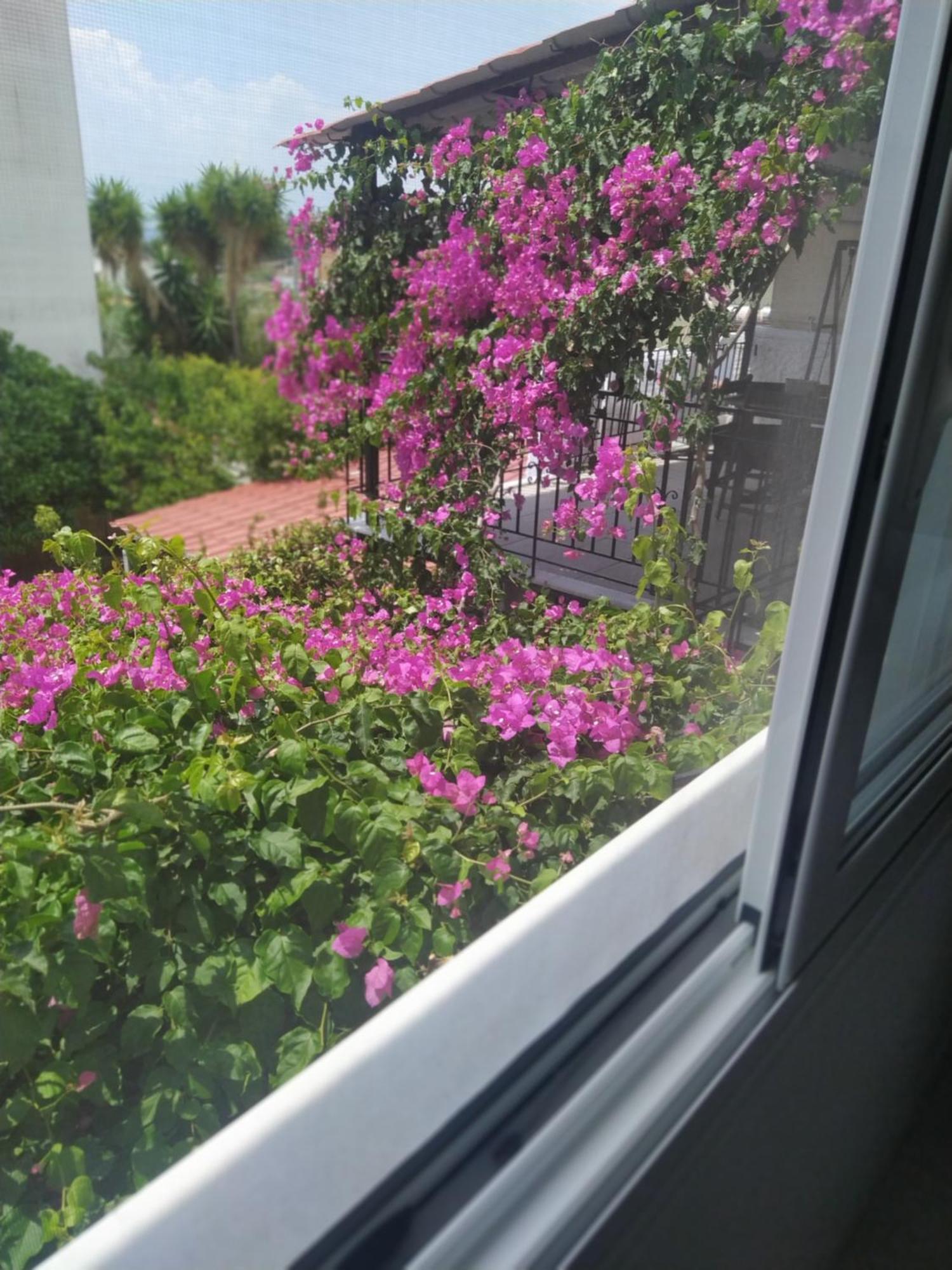 Kritharia Guesthouse Volos Eksteriør bilde